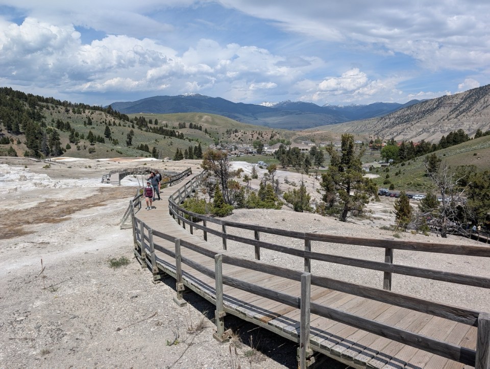 Lower Terraces à Mammoth Hot Spring
