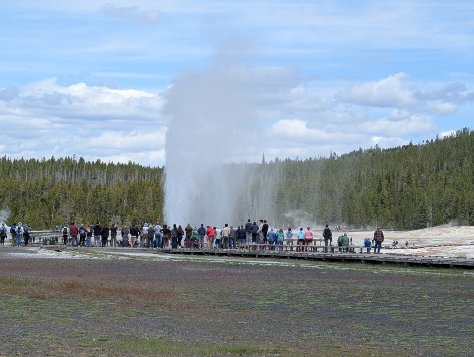 geyser Old Faithful