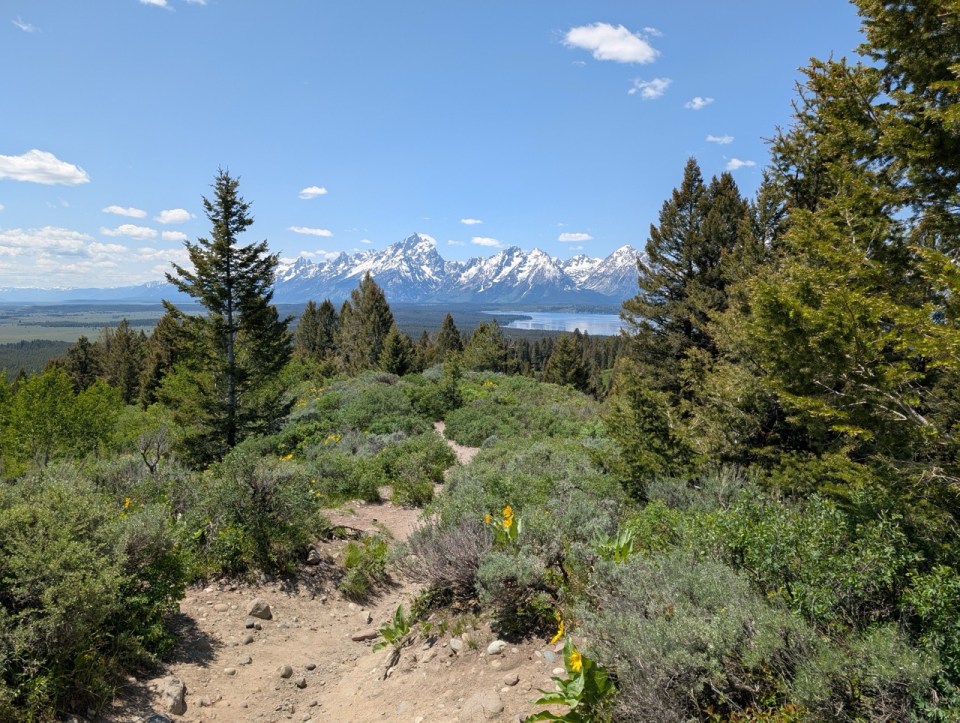Signal Mountain Road au Grand Teton National Park