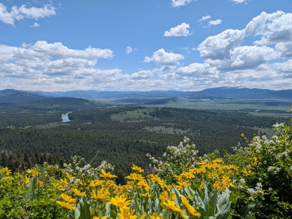 Signal Mountain Road au Grand Teton National Park