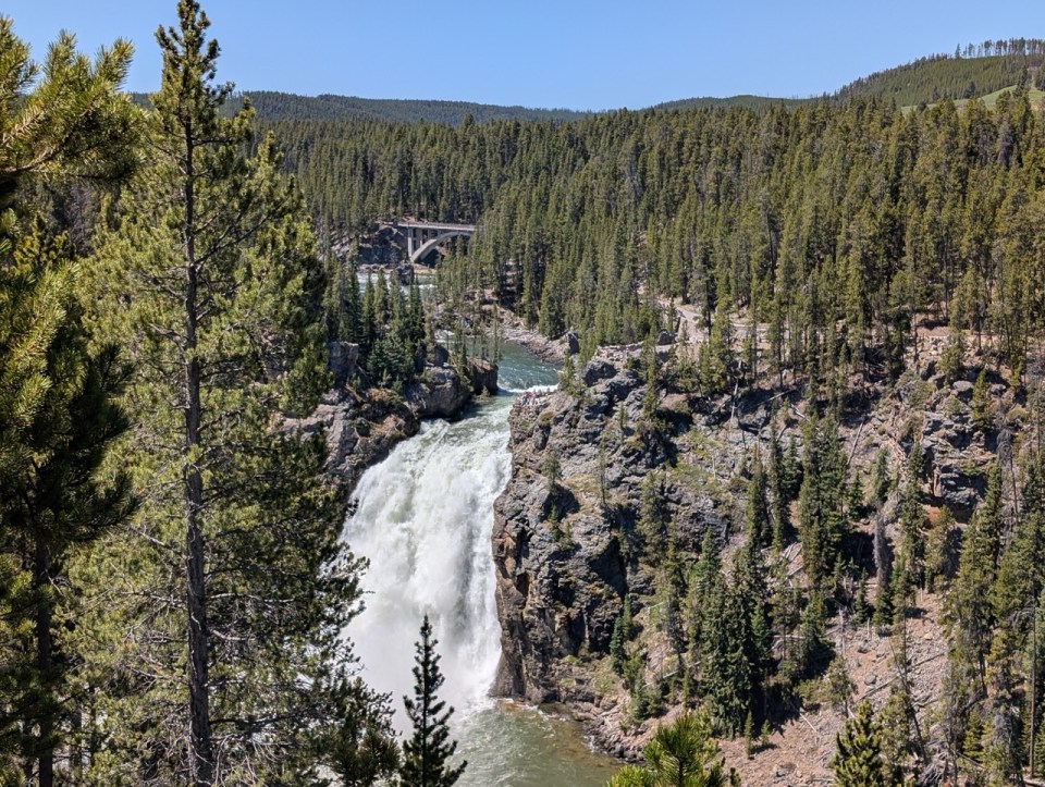Grand Canyon of Yellowstone