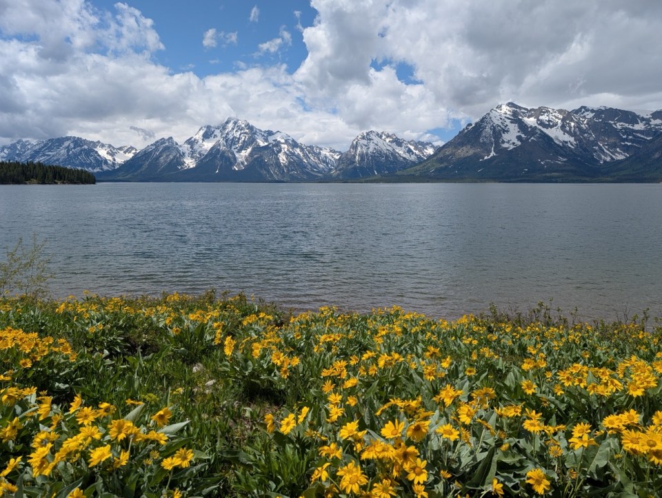 Lakeshore Trail à Colter Bay dans le Grand Teton national park 