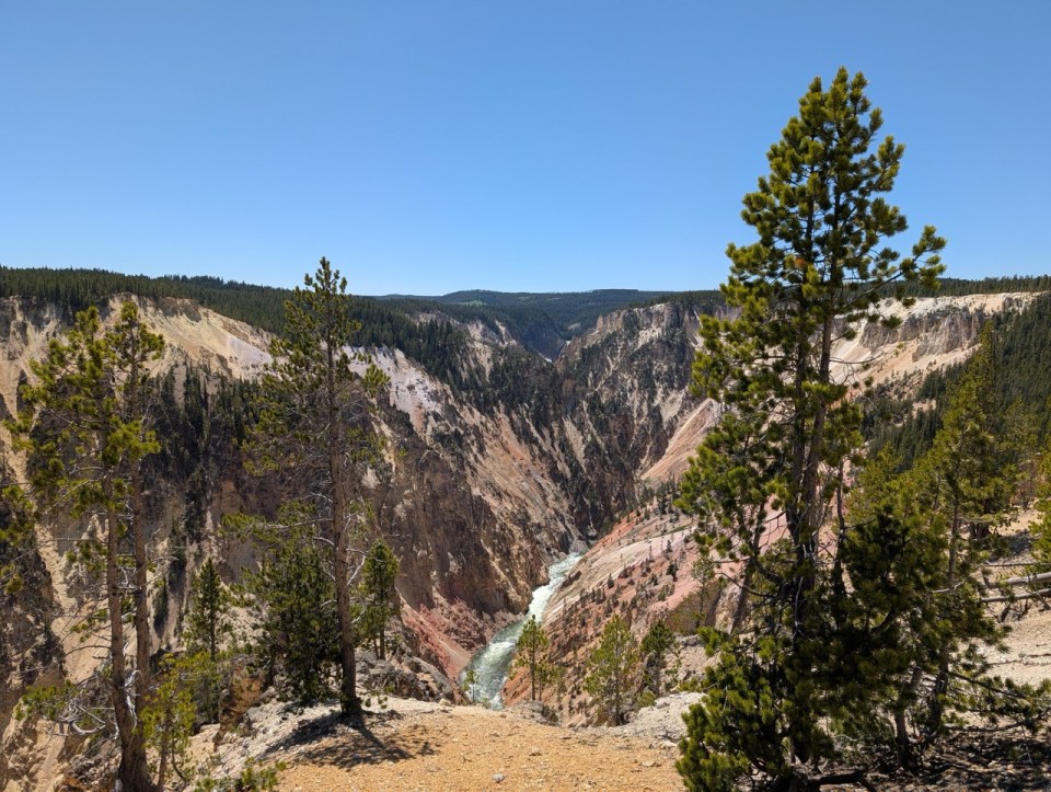 Grand Canyon of Yellowstone