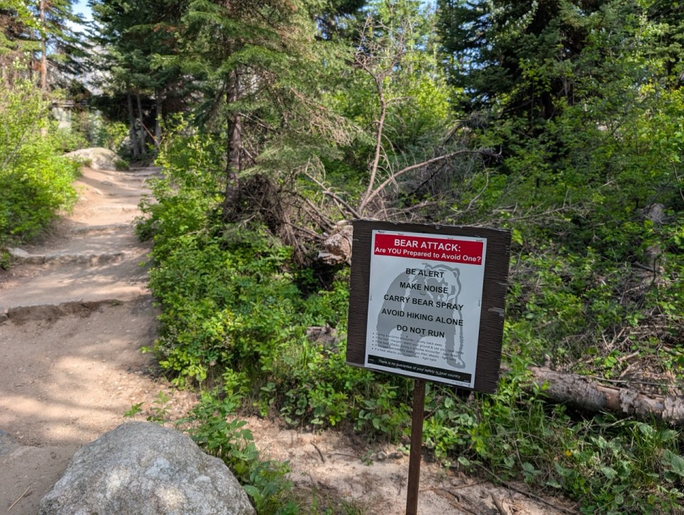 ours dans les parcs nationaux