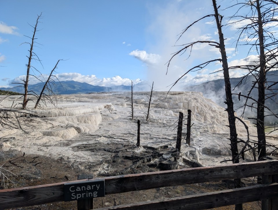 Upper Road Drive à Mammoth Hot Spring