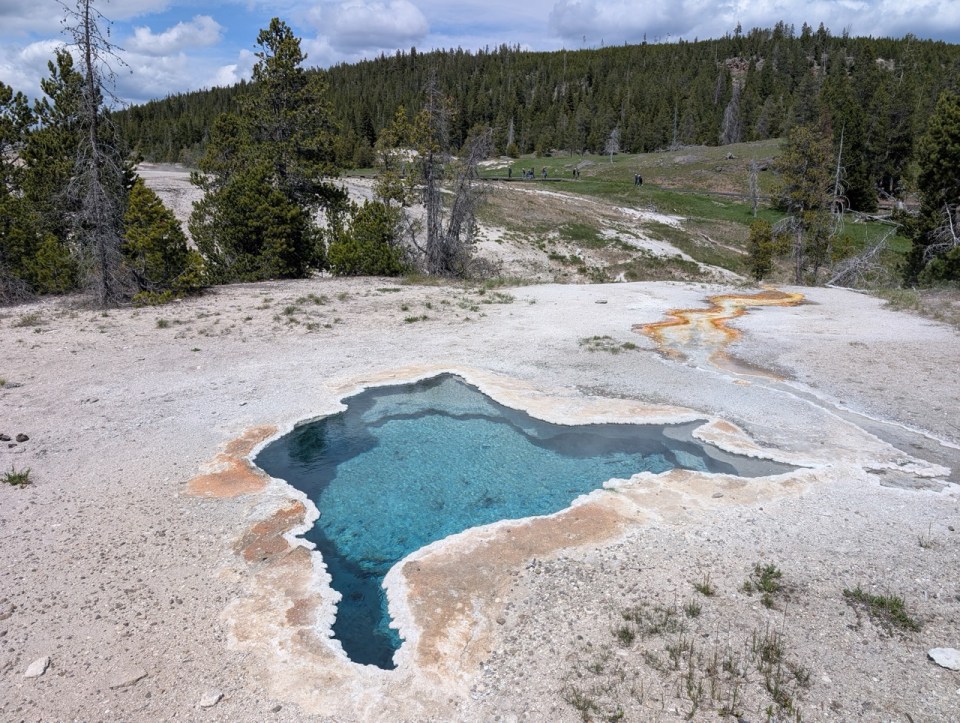 Upper Geyser Basin trail