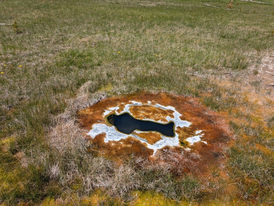 Upper Geyser Basin trail