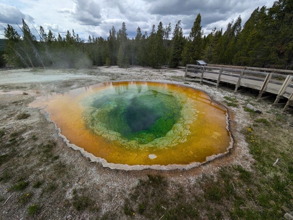 piscine Morning Pool