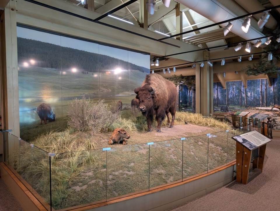 Visitor center de Yellowstone 