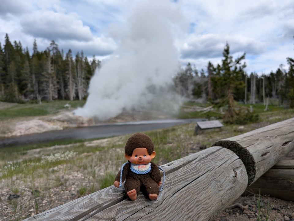 visiter le parc de Yellowstone