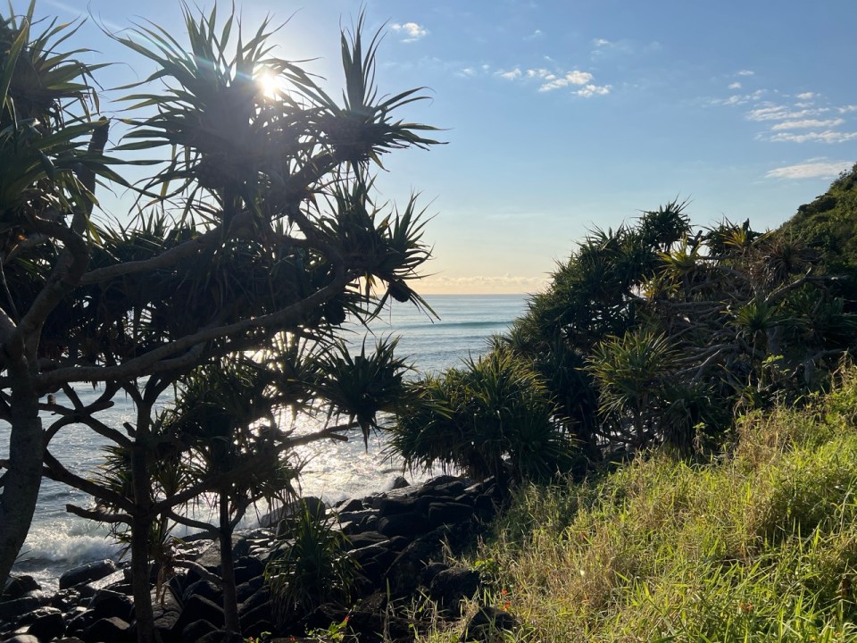 Burleigh Heads National Park à Gold Coast