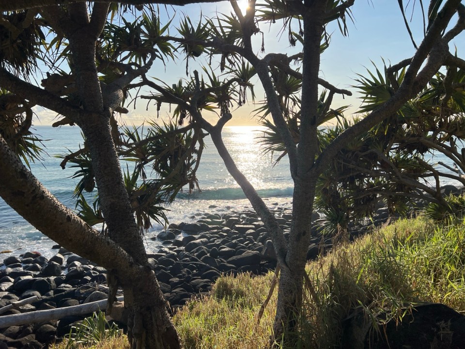 Burleigh Heads National Park à Gold Coast