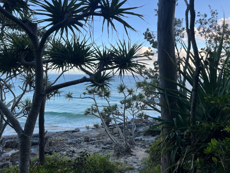 voyager à Noosa en Australie 