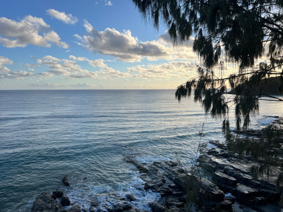 Coastal Walk à Noosa National Park