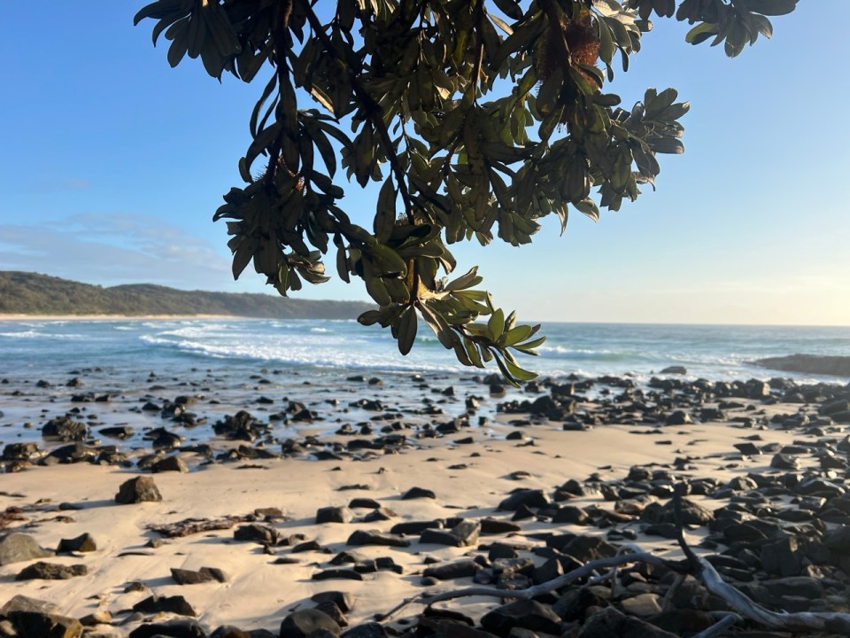Coastal Walk à Noosa National Park