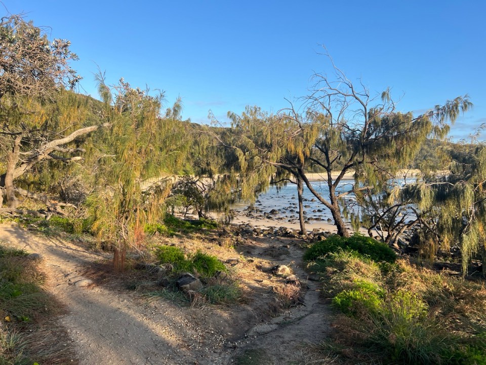 Coastal Walk à Noosa National Park