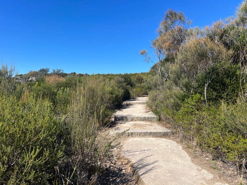 Shelly Beach To Barracks Precinct Walk à Manly
