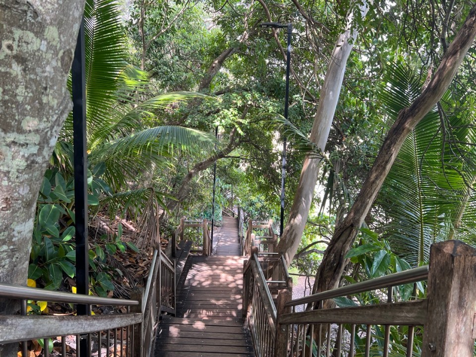 Plage de Little Cove à Noosa Heads