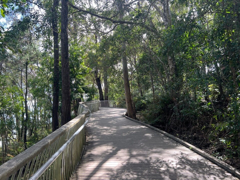 Plage de Little Cove à Noosa Heads