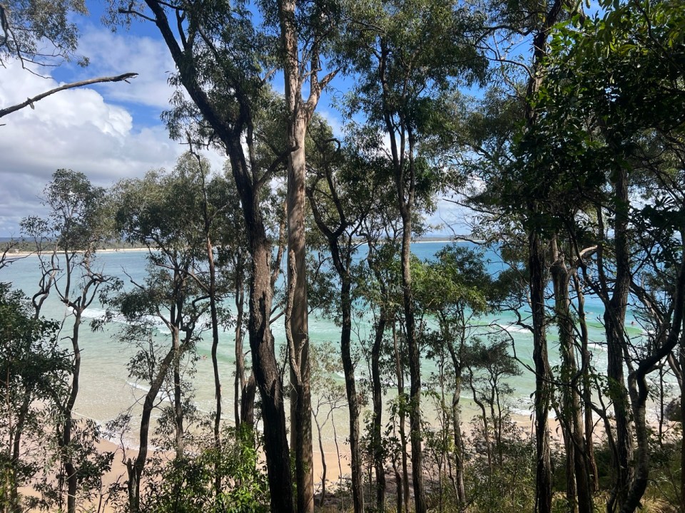 Plage de Little Cove à Noosa Heads