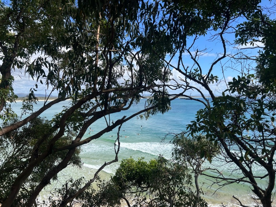 Plage de Little Cove à Noosa Heads
