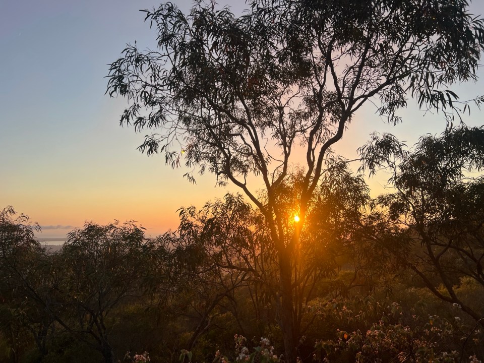 lever de soleil à Mount Tinbeerwah Lookout