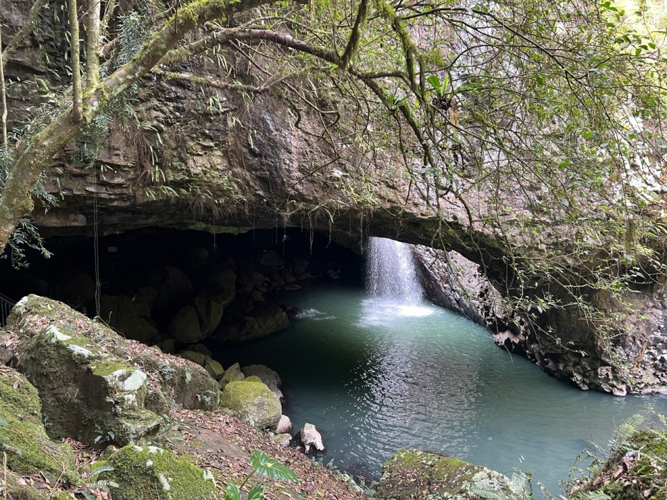 Natural Bridge à Springbrook National Park 