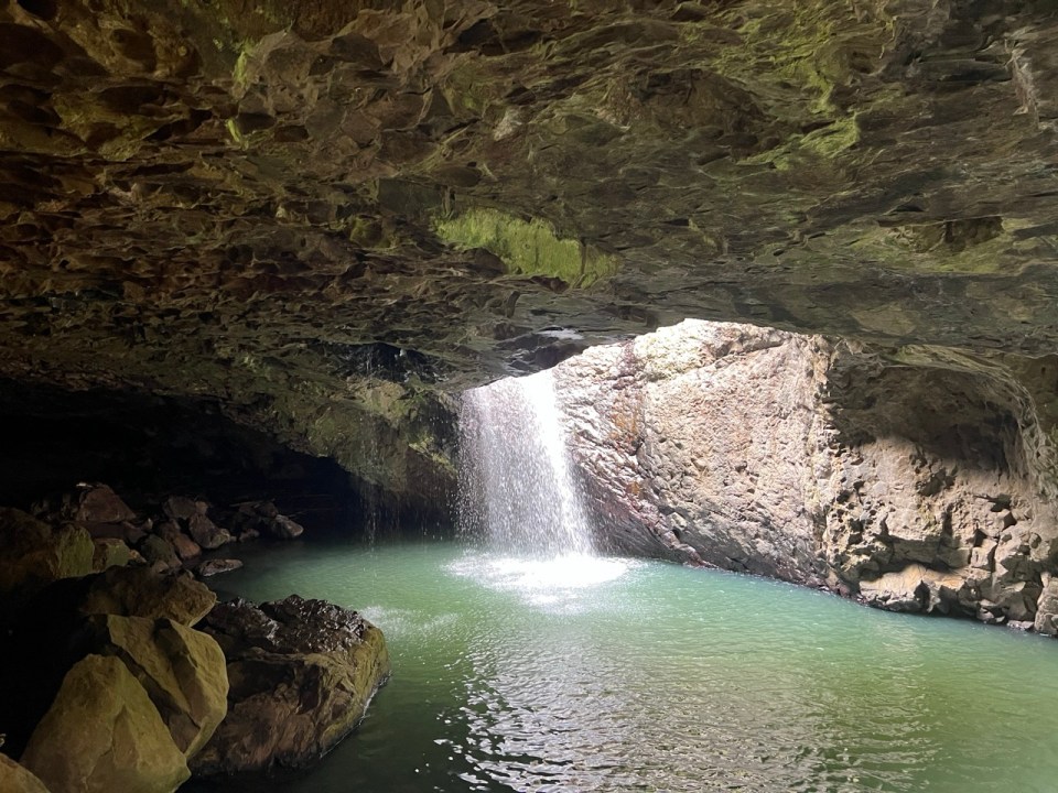 Natural Bridge à Springbrook National Park 