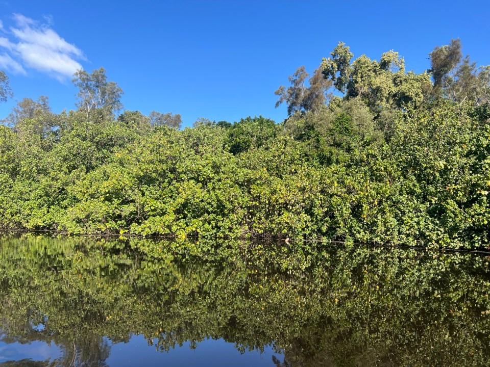la « River of Mirrors » dans les Everglades de Noosa en Australie
