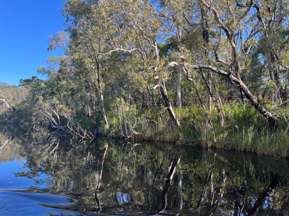 la « River of Mirrors » dans les Everglades de Noosa en Australie