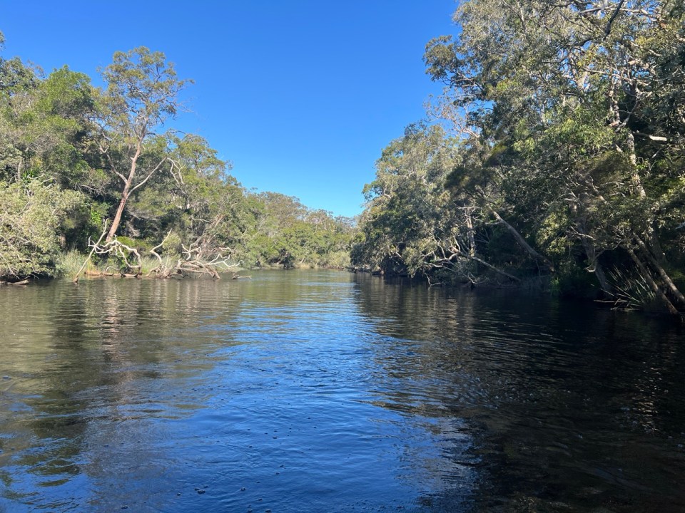 Les Everglades de Noosa