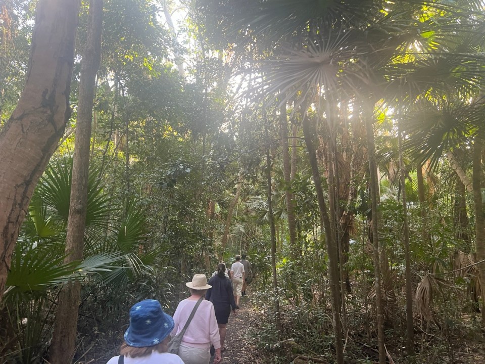les Everglades de Noosa en Australie