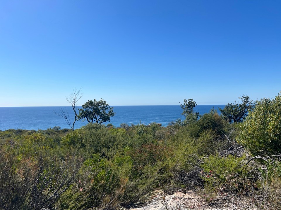 Shelly Beach To Barracks Precinct Walk à Manly