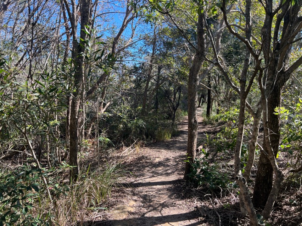 Shelly Beach To Barracks Precinct Walk à Manly
