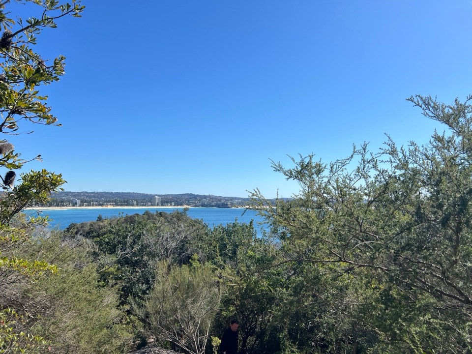 Shelly Beach Walking Track à Manly