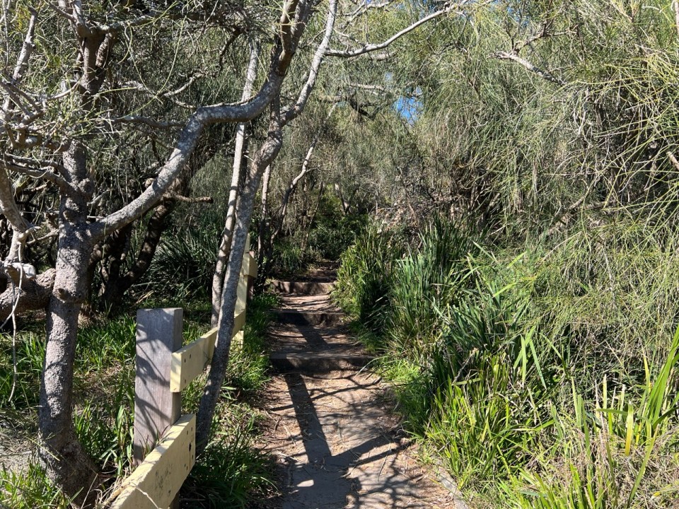 Shelly Beach Walking Track à Manly