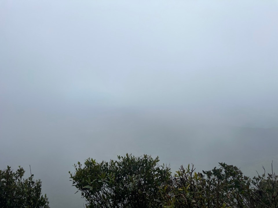 Best of All Lookout à Springbrook National Park 