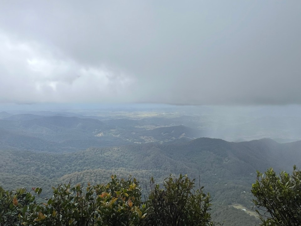 Best of All Lookout à Springbrook National Park 