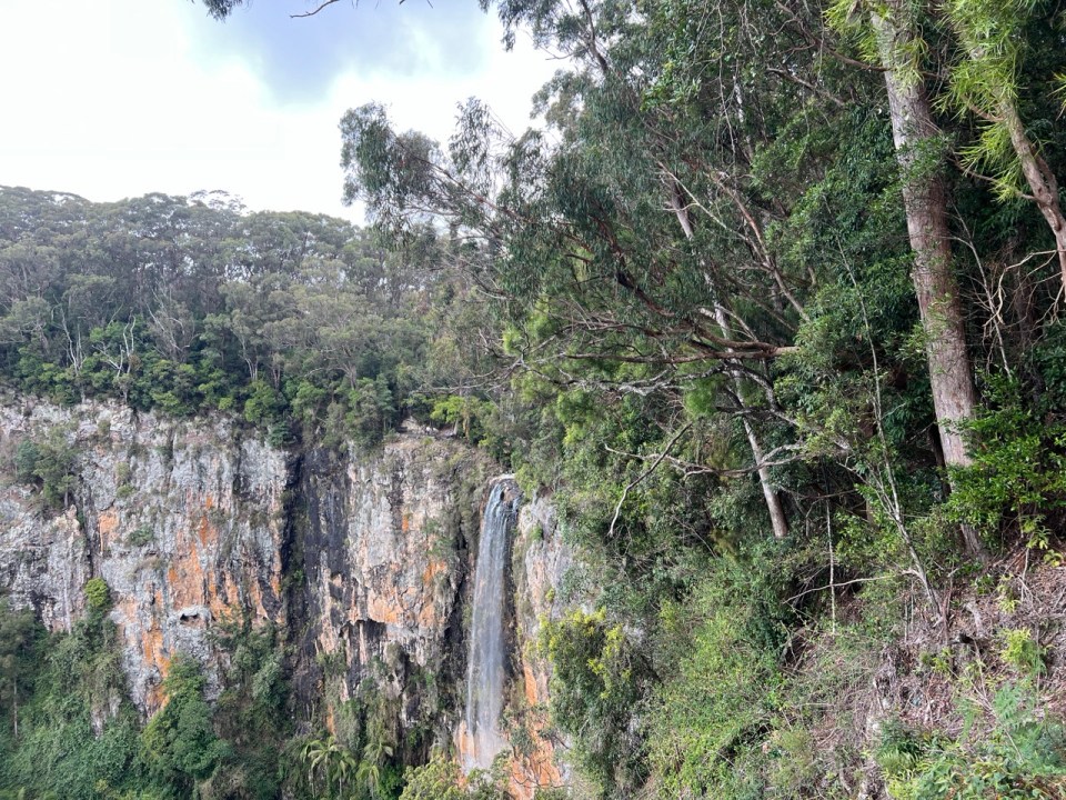 Purling Brook Falls à Springbrook National Park 