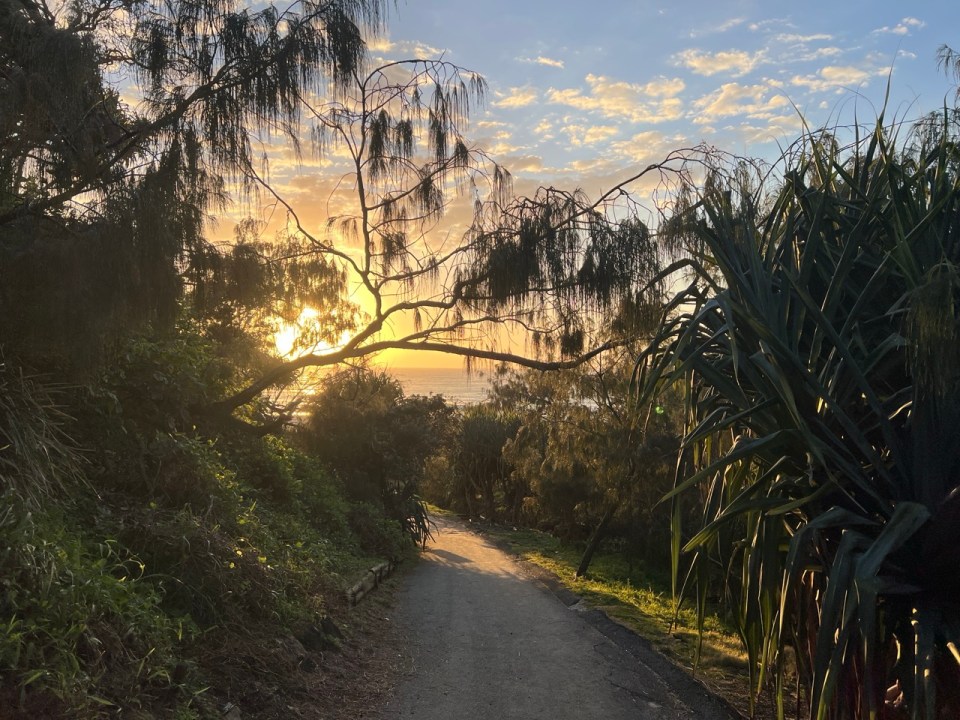 Plage de Sunshine Beach en Australie
