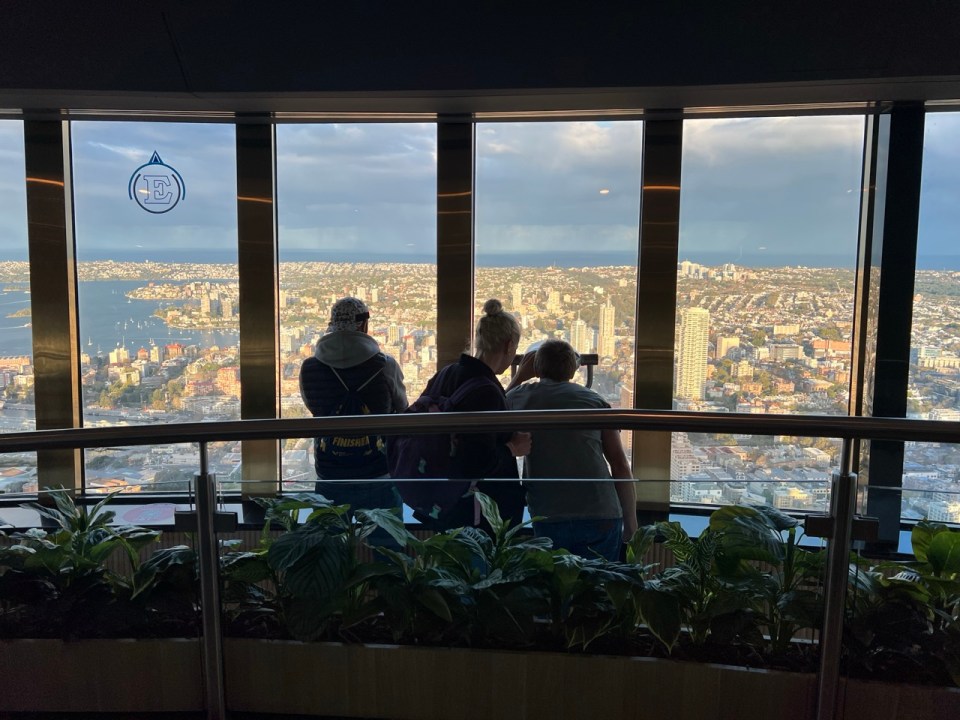 vue depuis la Sydney Tower Eye