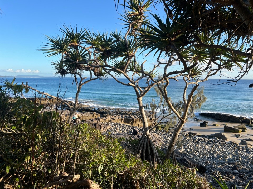 Tea Tree Bay à Coastal Walk au Noosa National Park