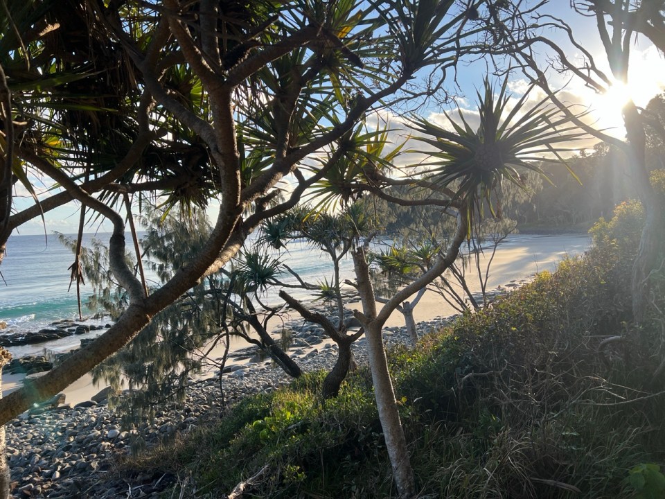 Tea Tree Bay à Coastal Walk au Noosa National Park
