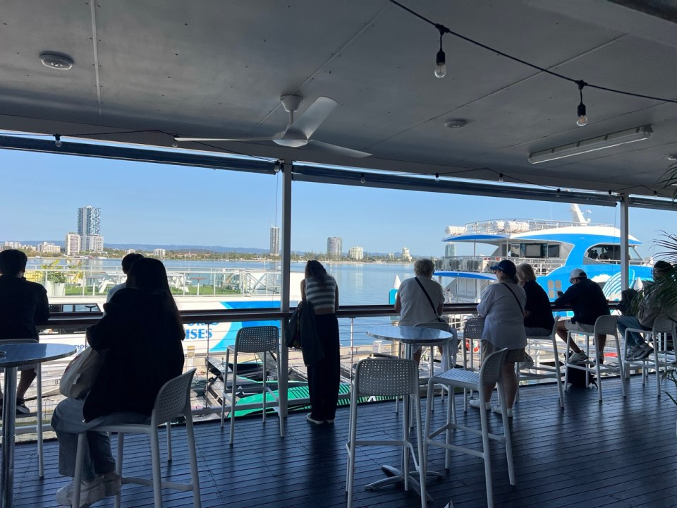 excursion pour voir les baleines à Surfers Paradise