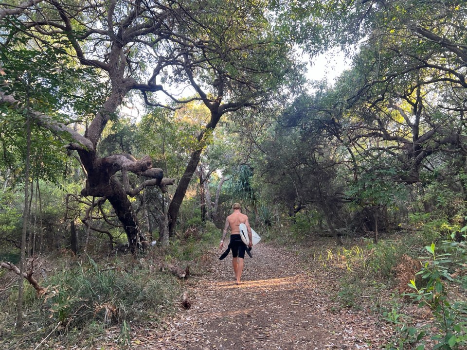 Alexandria Bay Walk à Noosa National Park