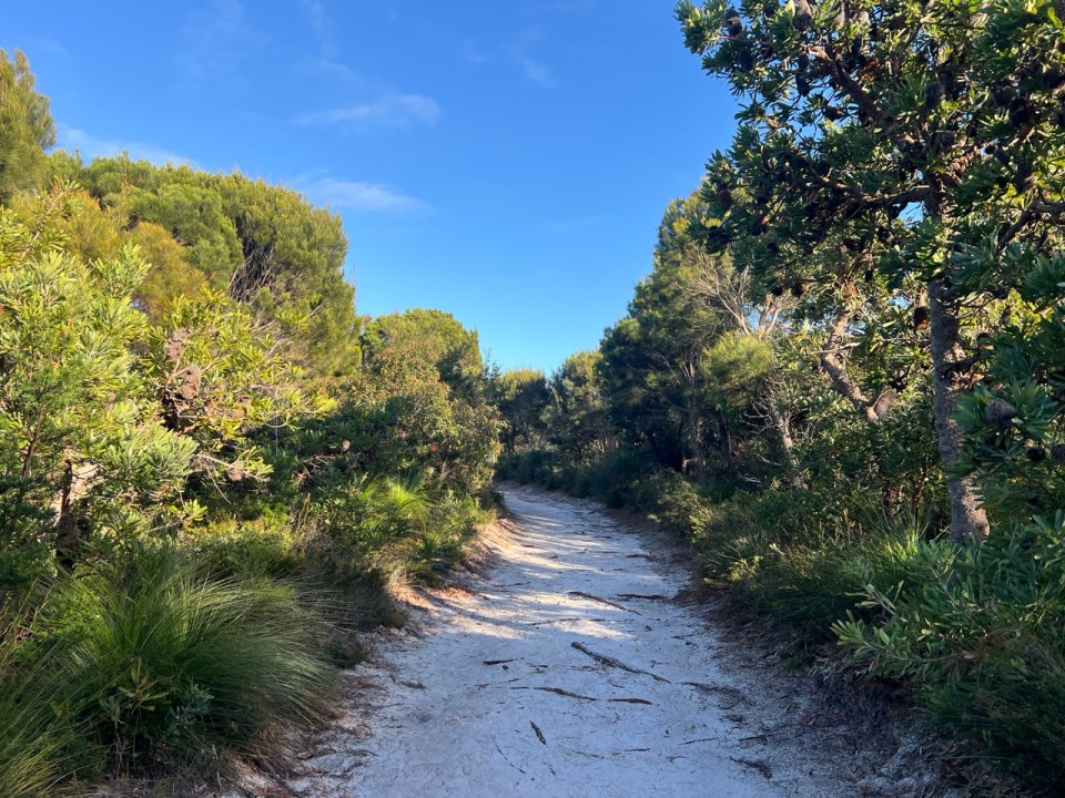 Alexandria Bay Walk à Noosa National Park