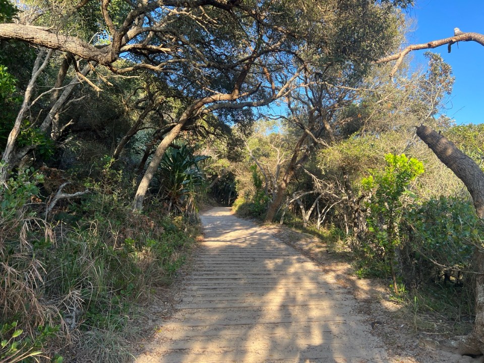 Alexandria Bay Walk à Noosa National Park