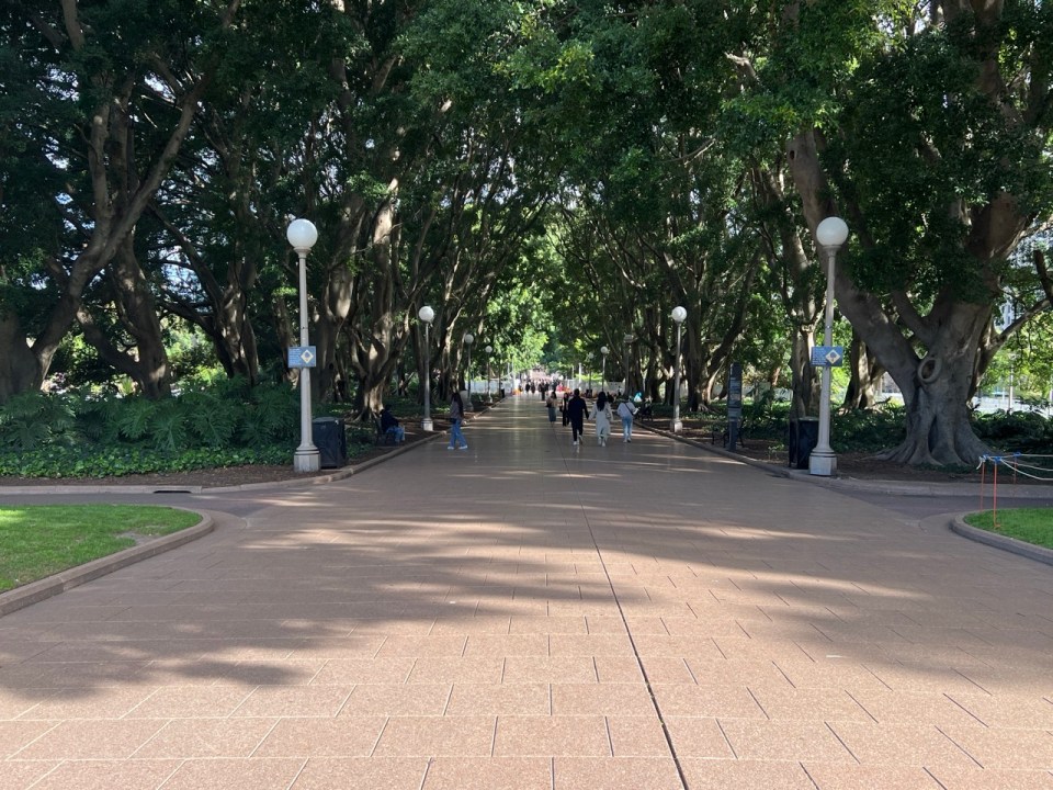 Hyde Park  à Sydney 
