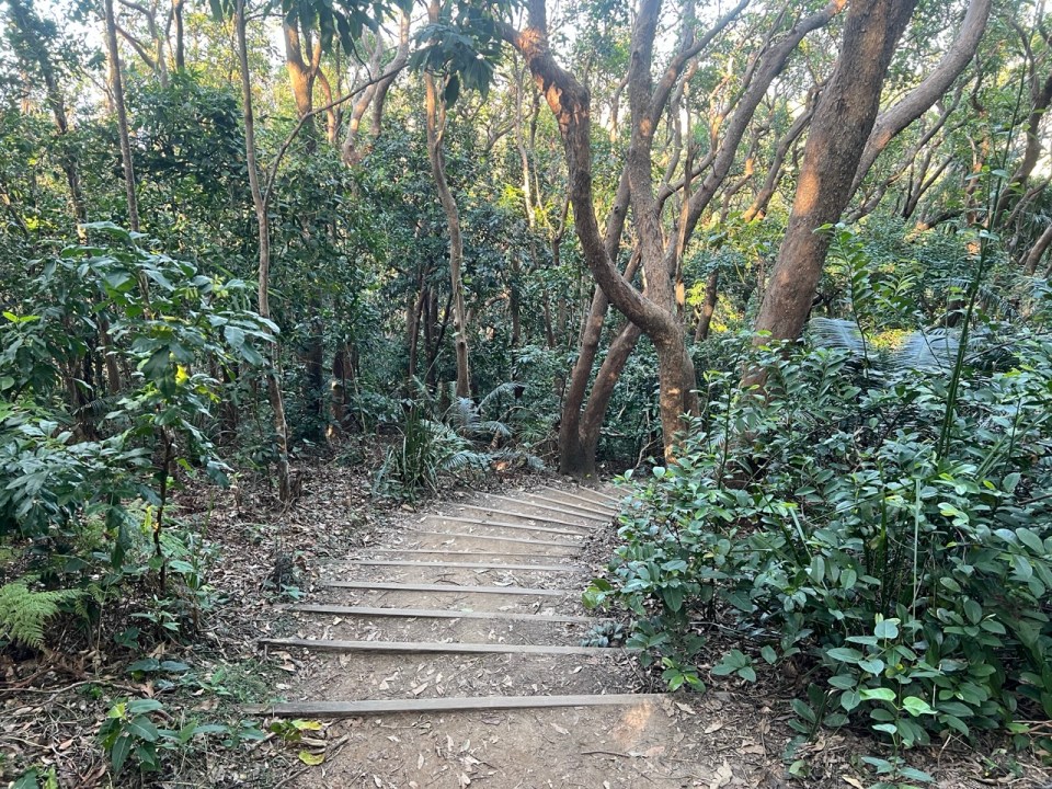 Capitain Cook lookout