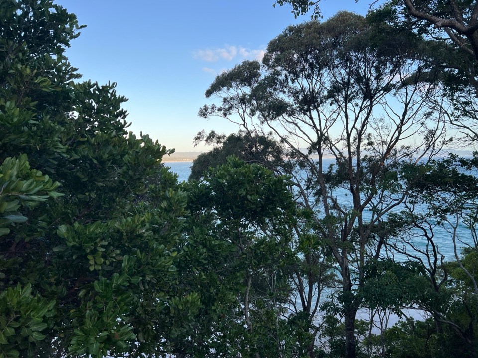 Cape Byron Walking Track